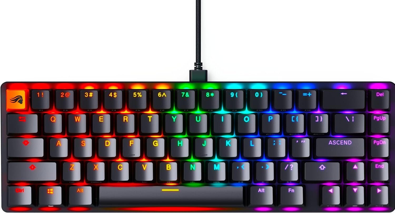 Glorious GMMK 2 Compact 65% Mechanical Gaming Keyboard